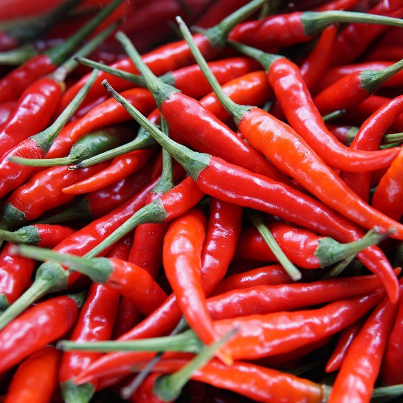 Low-carb Indian Breakfast Recipes for a Healthy Start