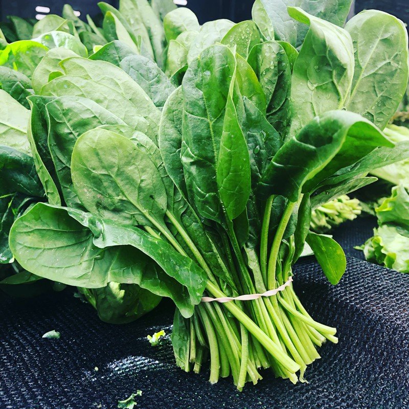 Top Immunity-Boosting Foods You Should Buy